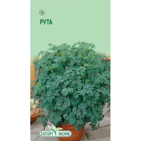 Насіння Рути /0,1 г/ *ЭлитСорт*