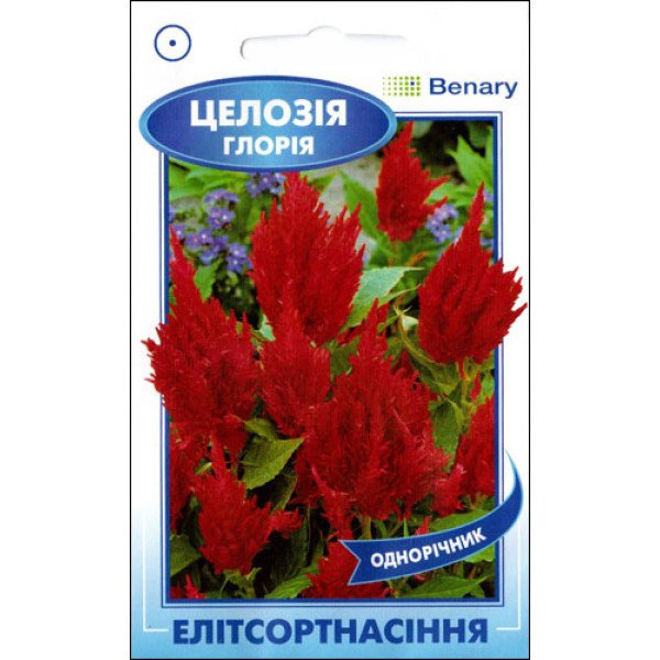 Семена целозии Глория F1 красная /10 семян/ *ЭлитСорт*