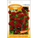 Маргаритка Тассо F1 красная /10 семян/ *ЭлитСорт*