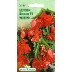 Бегония Шансон F1 красная /10 семян/ *ЭлитСорт*
