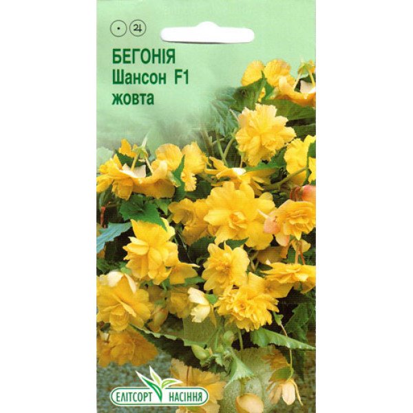 Насіння бегонії Шансон F1 жовта /10 насінин/ *ЕлітСорт*
