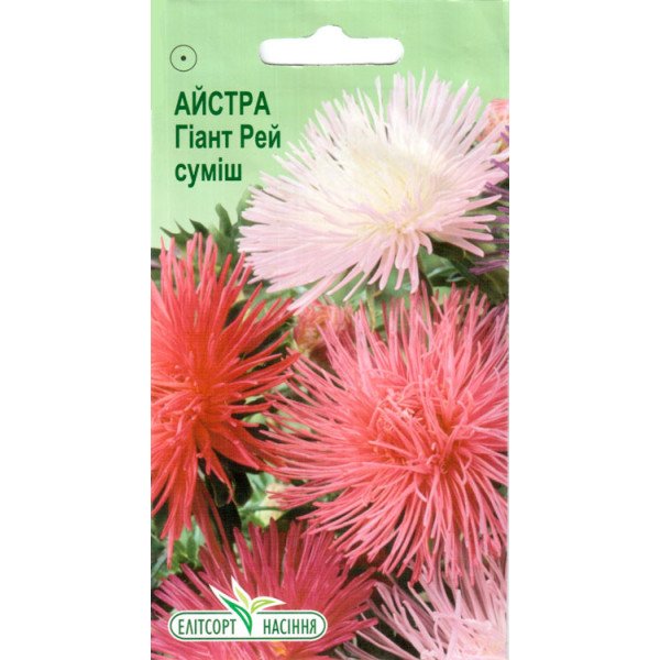 Насіння айстри Гіант Рей суміш /0,1 г/ *ЕлітСорт*