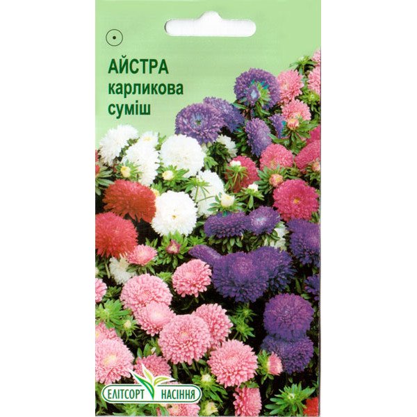 Насіння айстри карликова суміш /0,2 г/ *ЕлітСорт*