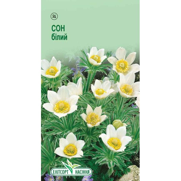 Семена Сон-травы белой /0,05 г/ *ЭлитСорт*