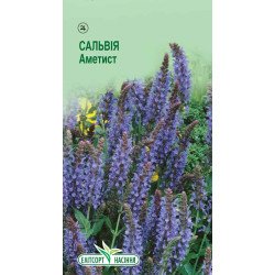 Шалфей Аметист /0,1 г/ *ЭлитСорт*