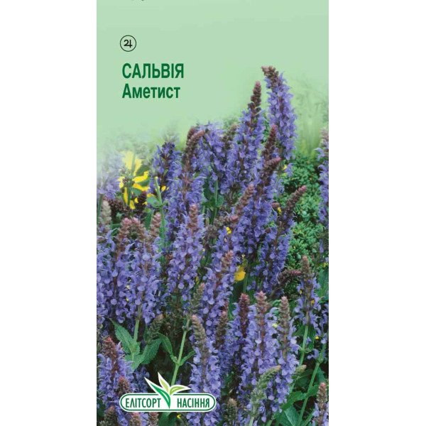 Семена шалфея Аметист /0,1 г/ *ЭлитСорт*