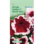 Петуния Селебрити F1 Бургунд Фрост /10 семян/ *ЭлитСорт*