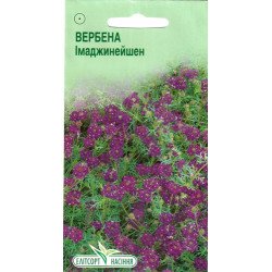 Вербена Імаджинейшен /10 насінин/ *ЕлітСорт*