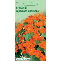 Красоля карликова помаранчева /10 насінин/ *ЕлітСорт*