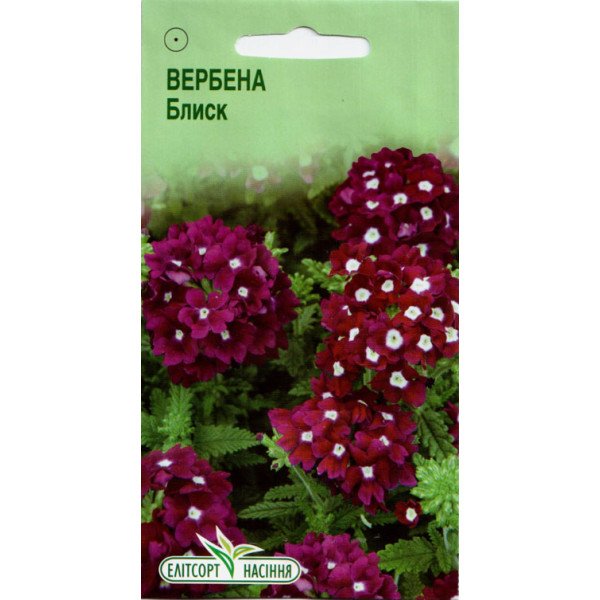 Семена вербены Блеск /0,1 г/ *ЭлитСорт*