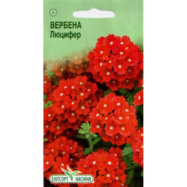 Семена вербены Люцифер /0,1 г/ *ЭлитСорт*