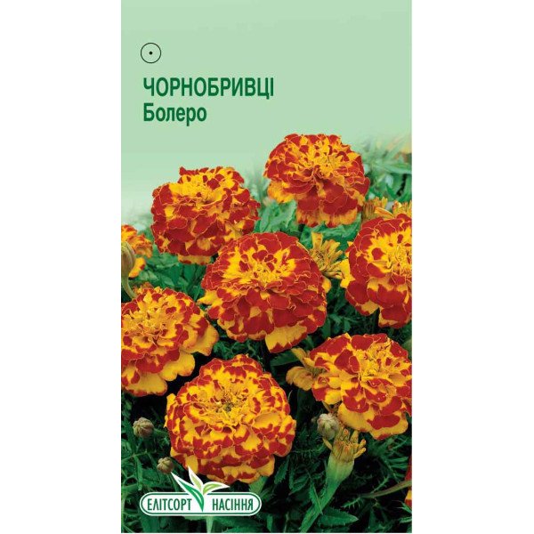 Насіння бархатцевв Болеро /0,5 г/ *ЕлітСорт*