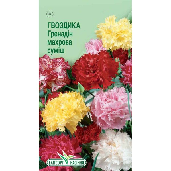 Семена гвоздики Гренадин махровая смесь /0,1 г/ *ЭлитСорт*