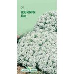 Лобулярия белая /0,2 г/ *ЭлитСорт*