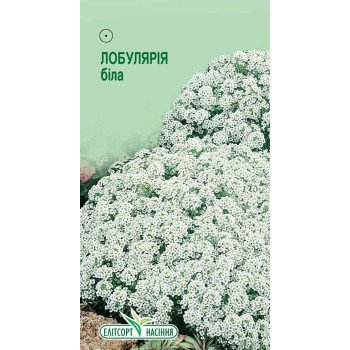 Лобулярія біла /0,2 г/ * ЕлітСорт *