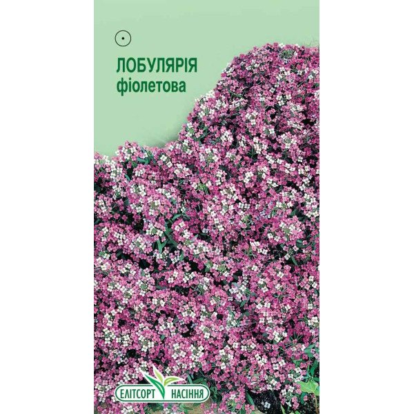 Семена лобулярии фиолетовая /0,2 г/ *ЭлитСорт*