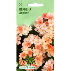 Вербена Априкот /0,1 г/ *ЭлитСорт*