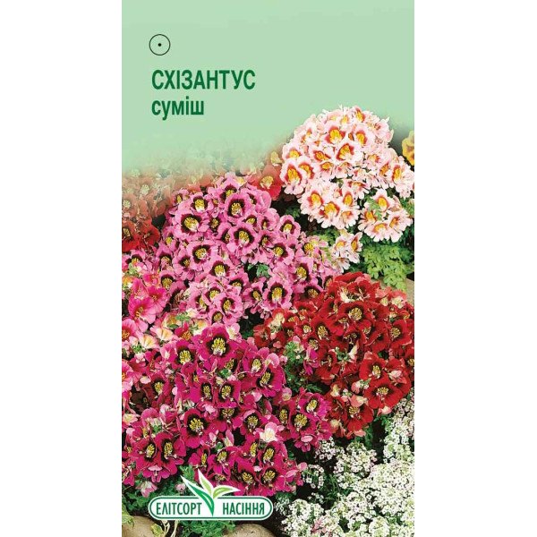 Насіння Схізантусу суміш /0,1 г/ *ЭлитСорт*