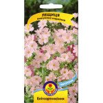 Гипсофила карминная /0,1 г/ *ЭлитСорт*