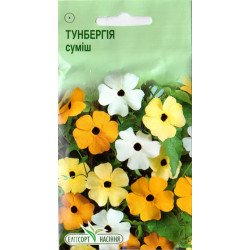Тунбергия крылатая смесь /10 семян/ *ЭлитСорт*