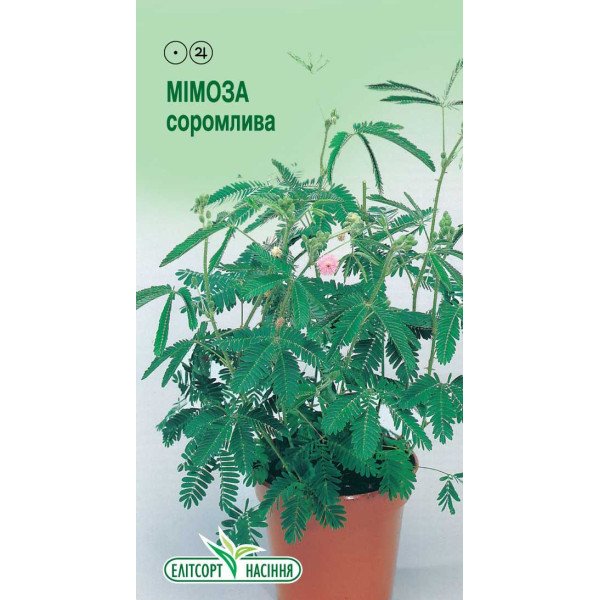 Семена мимозы стыдливая /0,1 г/ *ЭлитСорт*