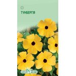 Тунбергия крылатая оранжевая /10 семян/ *ЭлитСорт*