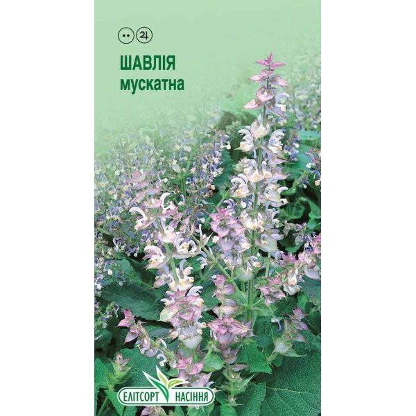 Насіння шавльвії мускатної /0,1 г/ *ЭлитСорт*