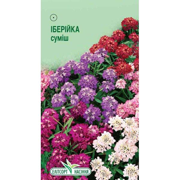 Насіння іберійки суміш /0,3 г/ *ЕлітСорт*