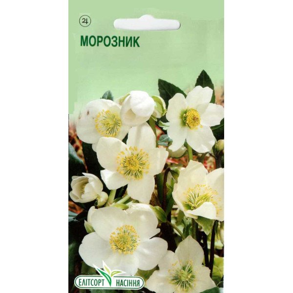 Семена морозника черного /0,1 г/ *ЭлитСорт*