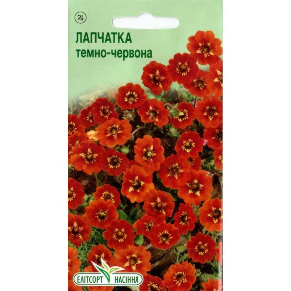 Семена лапчатки темно-красной /0,05 г/ *ЭлитСорт*