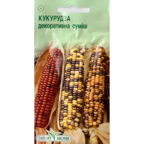 Насіння кукурудзи декоративна суміш /5 насінин/ *ЕлітСорт*