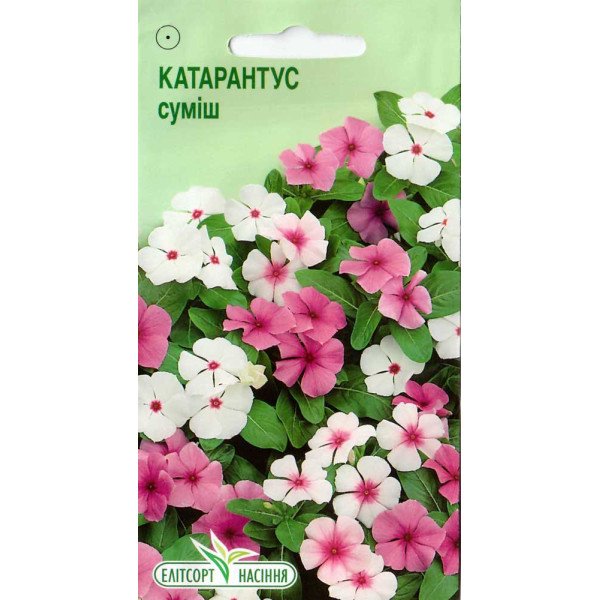 Купити насіння катарантуса суміш 0,05 г ЕлітСорт™ в магазині НАСІННЯ-ПОШТОЮ