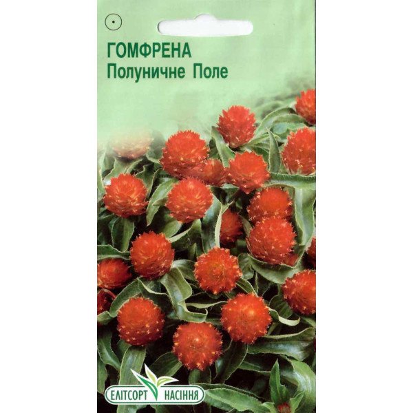 Насіння гомфрени Полуничне поле /0,1 г/ *ЕлітСорт*