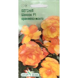 Бегонія Шансон F1 оранжево-жовта /10 насінин/ *ЕлітСорт*