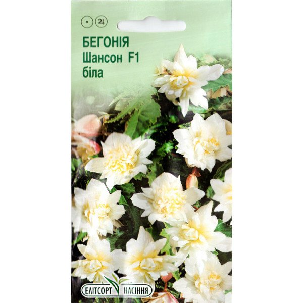 Насіння бегонії Шансон F1 біла /10 насінин/ *ЕлітСорт*