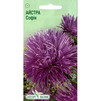 Астра София /0,2 г/ *ЭлитСорт*