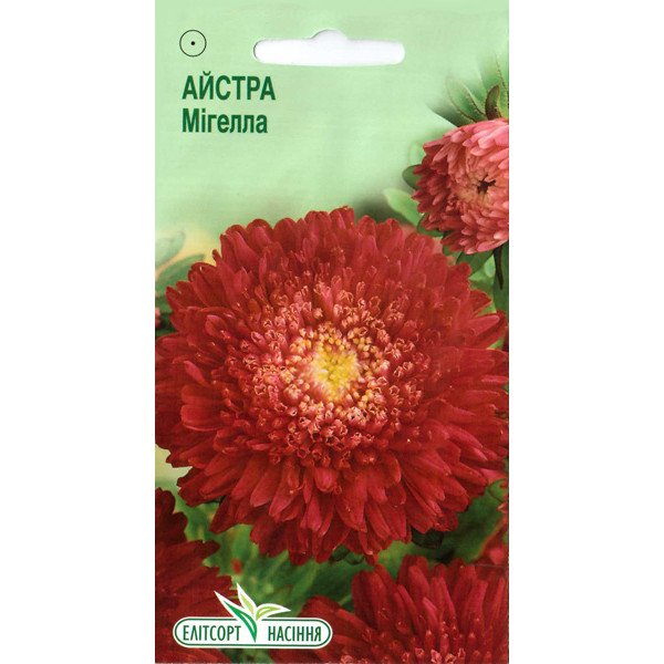 Насіння айстри Мігелла /0,2 г/ *ЕлітСорт*