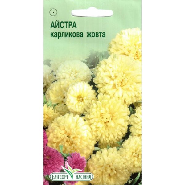Насіння айстри карликової жовтою /0,2 г/ *ЕлітСорт*