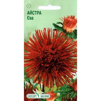 Астра Ева /0,2 г/ *ЭлитСорт*