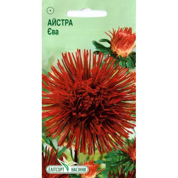 Насіння айстри Єва /0,2 г/ *ЕлітСорт*
