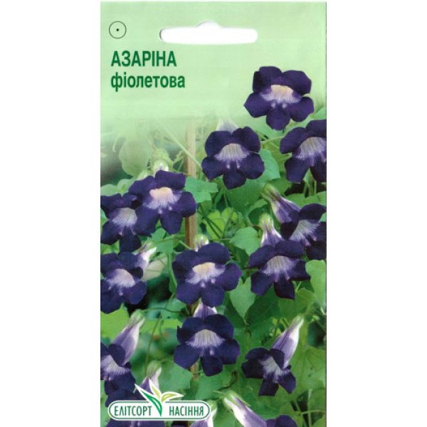 Насіння азаріни фіолетової /10 насінин/ *ЕлітСорт*