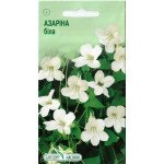 Азарина белая /10 семян/ *ЭлитСорт*