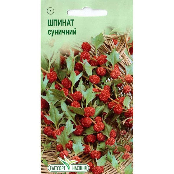 Насіння суничного шпинату /0,1 г/ *ЕлітСорт*