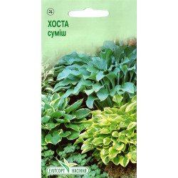 Хоста суміш /5 насінин/ *ЕлітСорт*