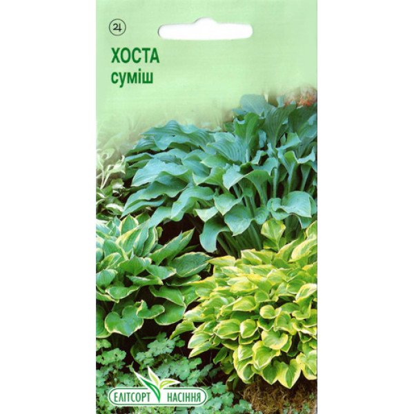 Насіння Хости суміш /5 насінин/ *ЭлитСорт*