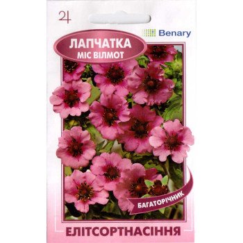 Лапчатка Мисс Виллмот /0,1 г/ *ЭлитСорт*