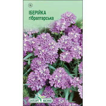 Иберийка гибралтарская /0,1 г/ *ЭлитСорт*