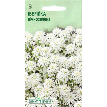 Иберис вечнозелёный /0,03 г/ *ЭлитСорт*