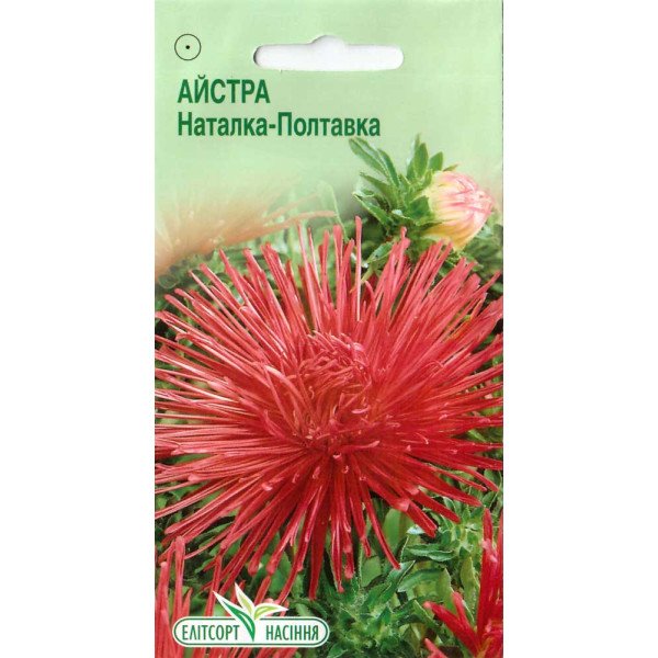 Насіння айстри Наталка-Полтавка /0,2 г/ *ЕлітСорт*