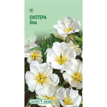 Енотера біла /0,1 г/ *ЕлітСорт*